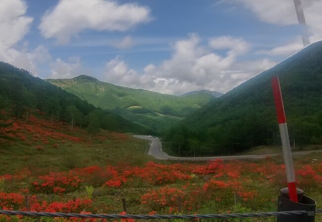 湯の丸高原