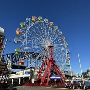 入園料無料で、雰囲気を楽しめる