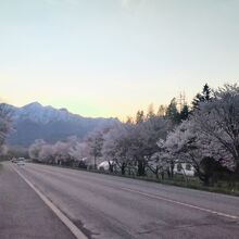 東京大学大学院農学生命科学研究科附属演習林 北海道演習林(富良野の樹海)