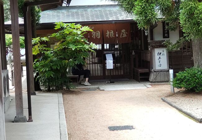 出雲流庭園を眺めながら割子そばを食べる