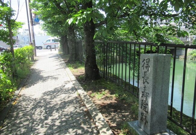新緑の京都、琵琶湖疏水沿いをお散歩よ