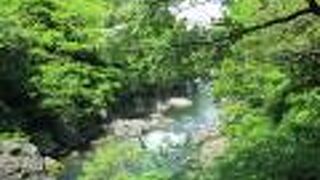 高津戸狭遊歩道を歩きました