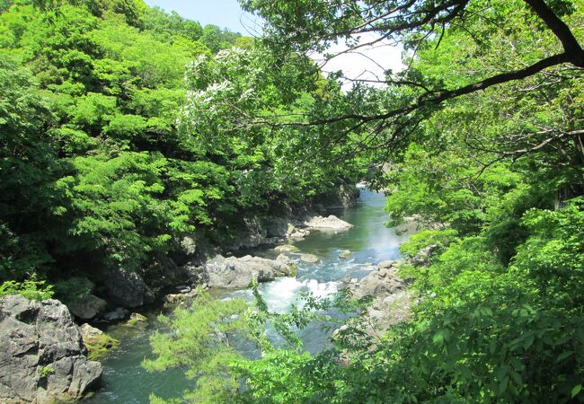 高津戸狭遊歩道を歩きました