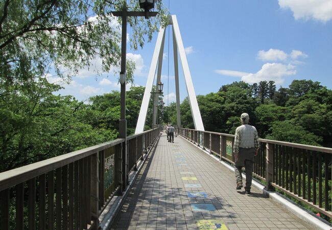  高津戸狭遊歩道を歩いた時はねたき橋を渡りました