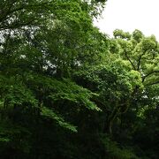 三輪山は大神神社のご神体です