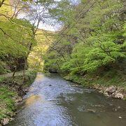 見どころは雄橋