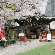 可愛らしい神社