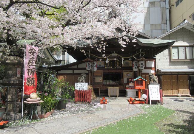 可愛らしい神社