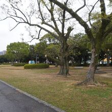 的ケ浜公園