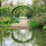 フランスの睡蓮も株分けされ、バラのアーチ、緑色のボート、藤の太鼓橋なども再現されています