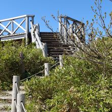 駐車場奥の展望台