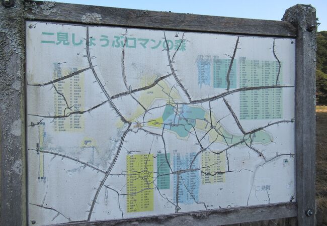 １月は見どころなし