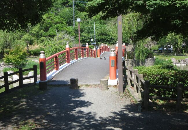 池を配した桜とつつじが多い市民のための公園です。