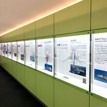 世界ゾーン　主に鹿児島空港に就航している航空会社の紹介です