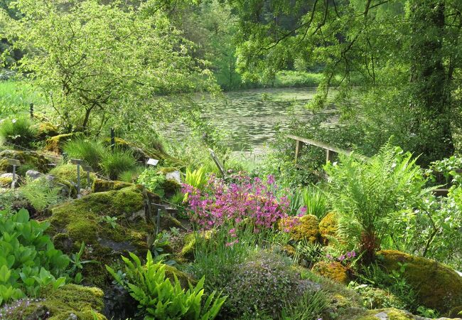 ヴェストファーレン・ヴィルヘルム大学植物園(ミュンスター植物園)