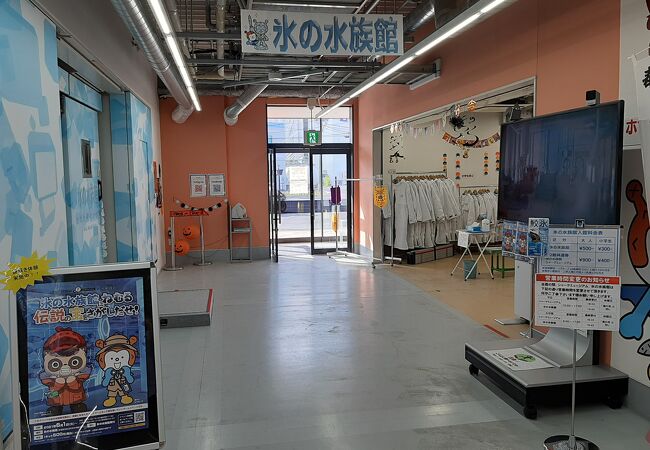 マイナス２０度のミュージアム