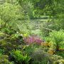 中央にある丸い湖の周りに、植生に合わせた環境が造られています