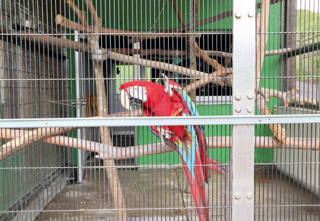 鞍ケ池公園動物園