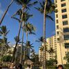 リゾート気分を満喫出来ます