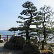 多くの歌にも詠まれた景勝地