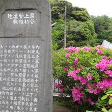 つつじと石碑と
