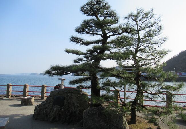 多くの歌にも詠まれた景勝地