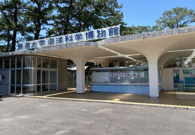 入場無料の水族館