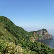 クマザサの緑色と海の青色、断崖の灰色のコントラストが絶景