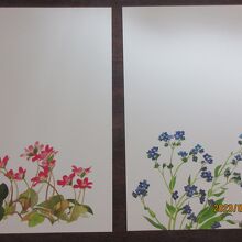 外山康雄氏の作品「折々の花たち」の葉書
