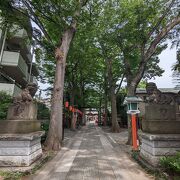 Shrine protected by the dragon of the Five Elements philosophy, very popular