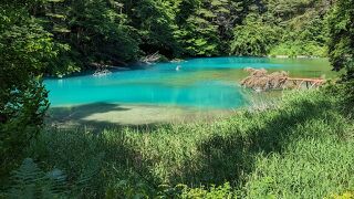 本当に綺麗です