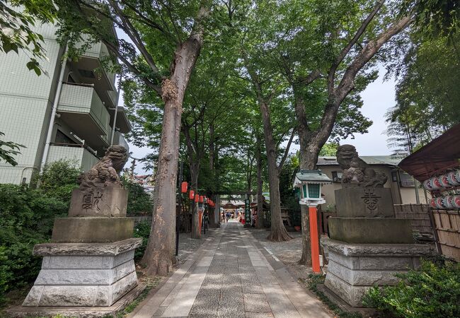 Shrine protected by the dragon of the Five Elements philosophy, very popular