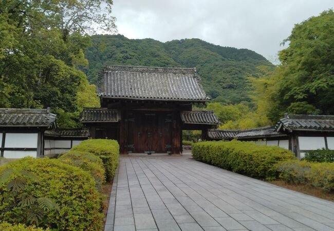 IMG_20221012_093029.jpg