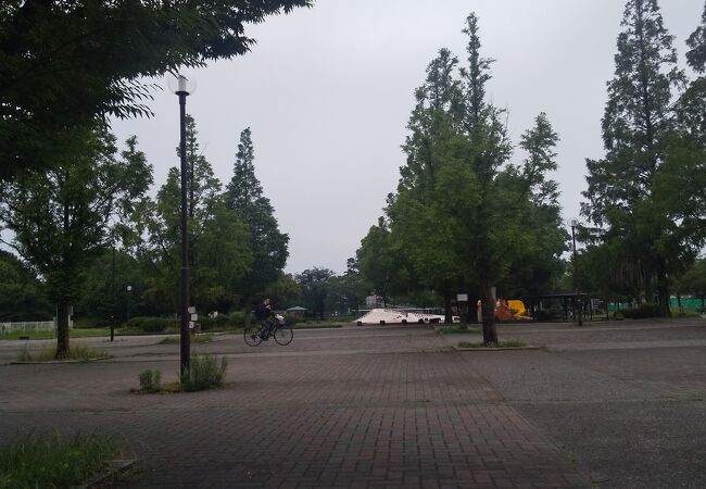 川崎大師のすぐ隣にある 大変 大きな都市公園