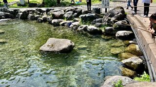 湯沢フィッシングパーク