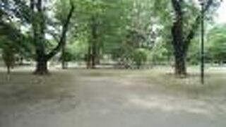 いろいろ見どころはあるが、眺望が一番