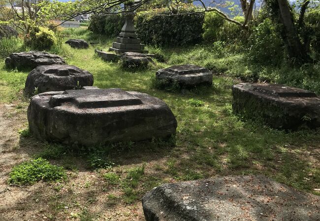 田んぼの中にある本薬師寺跡の礎石の前に建ち、畝傍山をおぞ見つつ、７世紀藤原京時代へ思いをはせる。