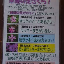 童話村たきのうえ芝ざくらまつり