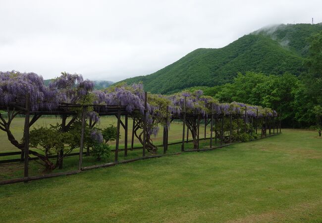 平和山公園