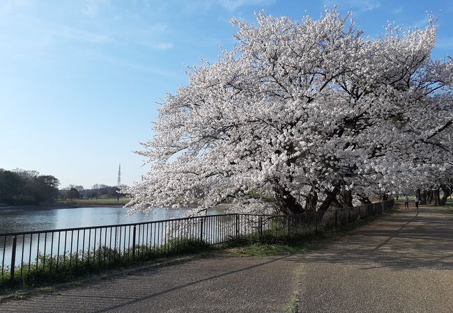 大室公園