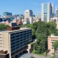 タワー棟13階から