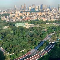 40階レストランから