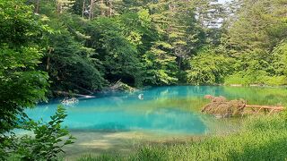 様々な色を見せてくる多くの沼です