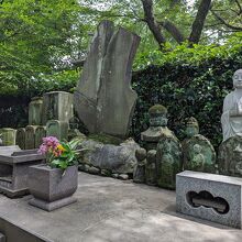 金蔵院 / Kinzo-in Temple