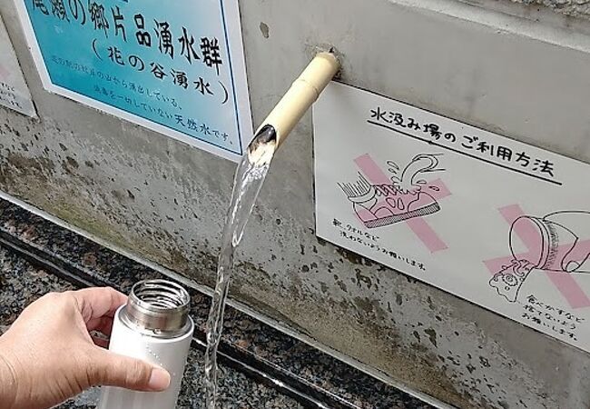 道の駅 尾瀬かたしな