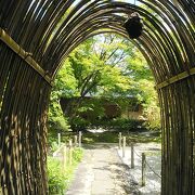 甲府五山の東光寺 青モミジが綺麗で京都のような趣