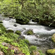 渓流のダイナミックな流れが見られました