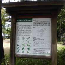 良覚院丁公園 （緑水庵庭園）