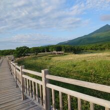 高架木道（この辺りから熊が見えたそう）