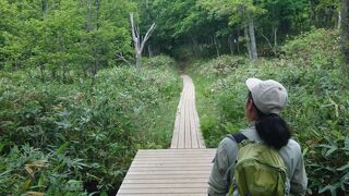 世界自然遺産、素晴らしい眺望